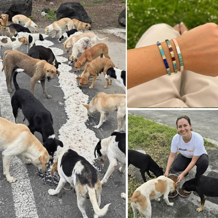 Bracelets and dogs during a feeding operation