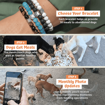 Bracelet Set (Ocean + Arctic + Lagoon)