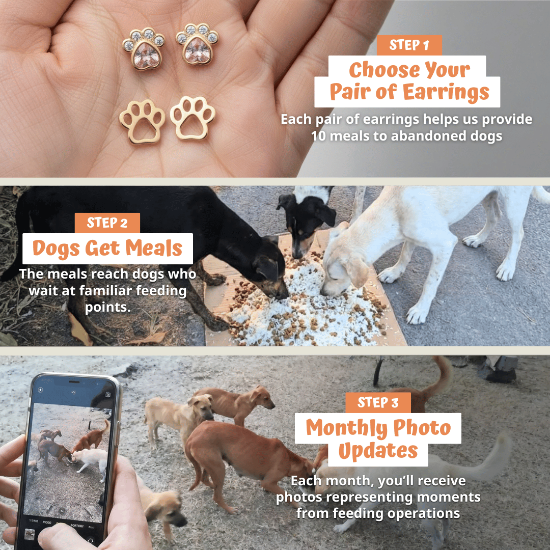 Angel Pets Earrings